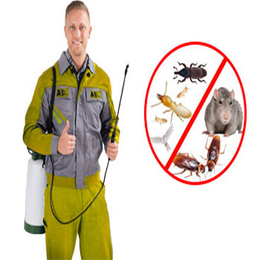 Mumbra Pest Control